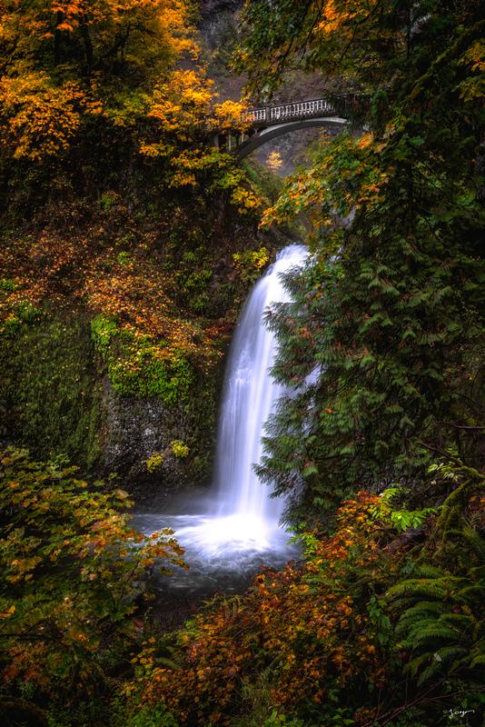 multnomah waterfall photography for sale fall colors