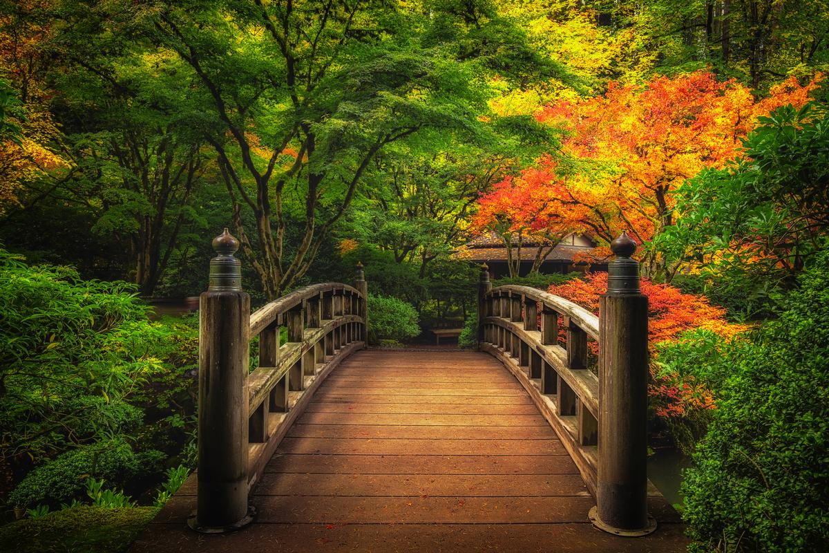 bridge at japanese gardens nature photography art jongas