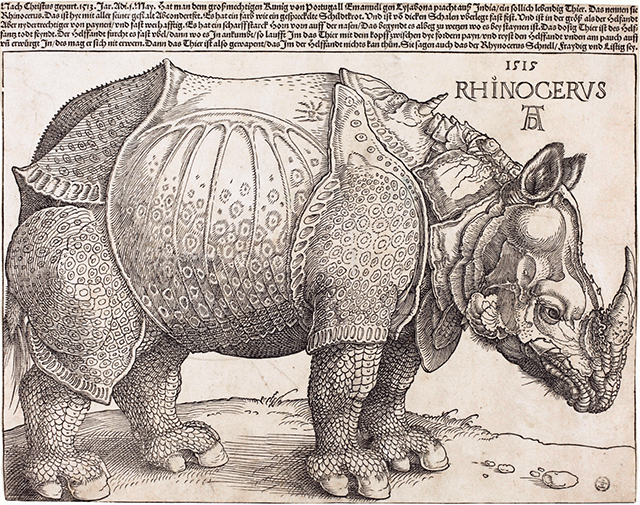 Albrecht Dürer's Rhinoceros (1515) — jongas blog