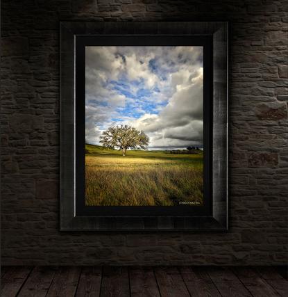 tree wall art by jongas wall display in dark frame