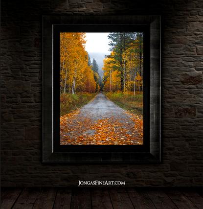 fall colors luxury fine art print framed wall decor