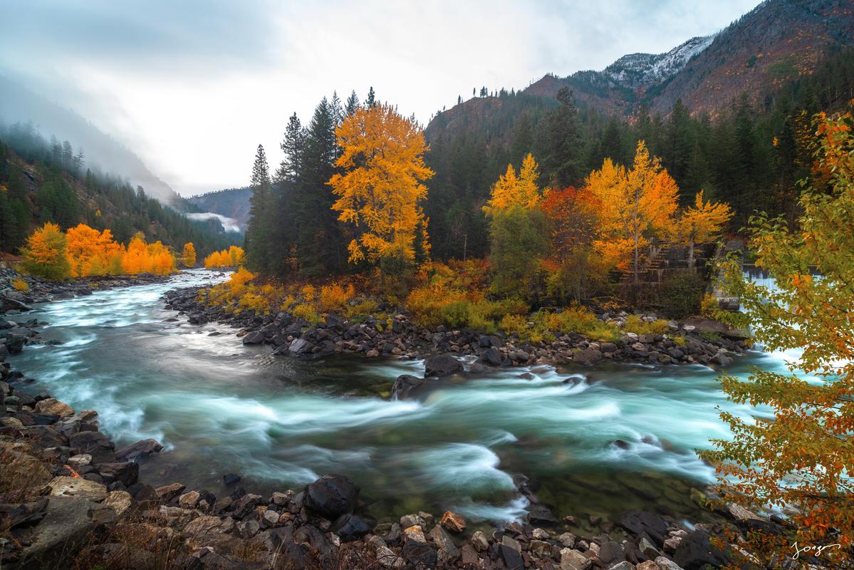 pacific northwest photography in fall trees by the river art by Eddie Jongas