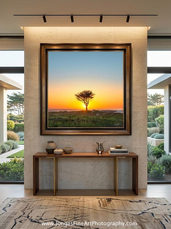 bad hair day fine art framed on wall by Eddie Jongas