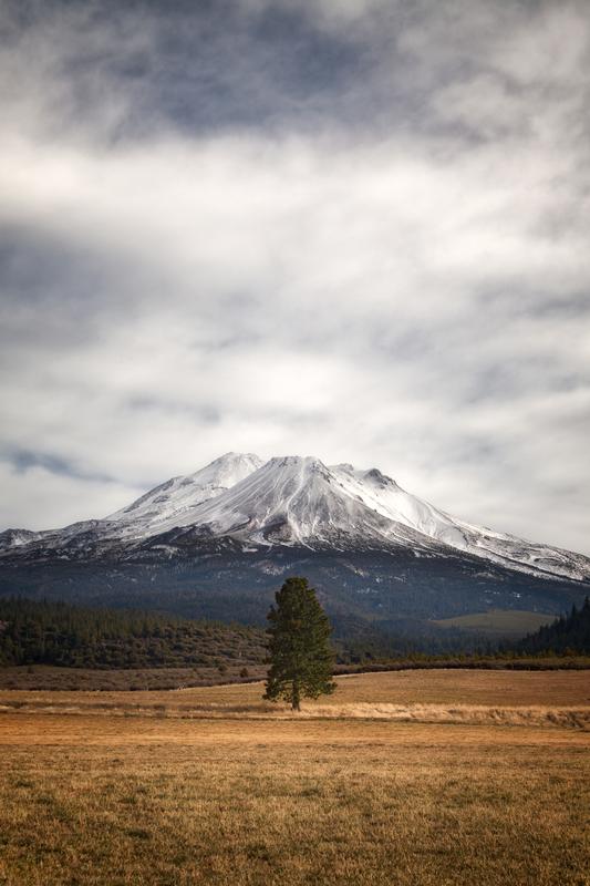 fine art photography mount shasta with a lone tree