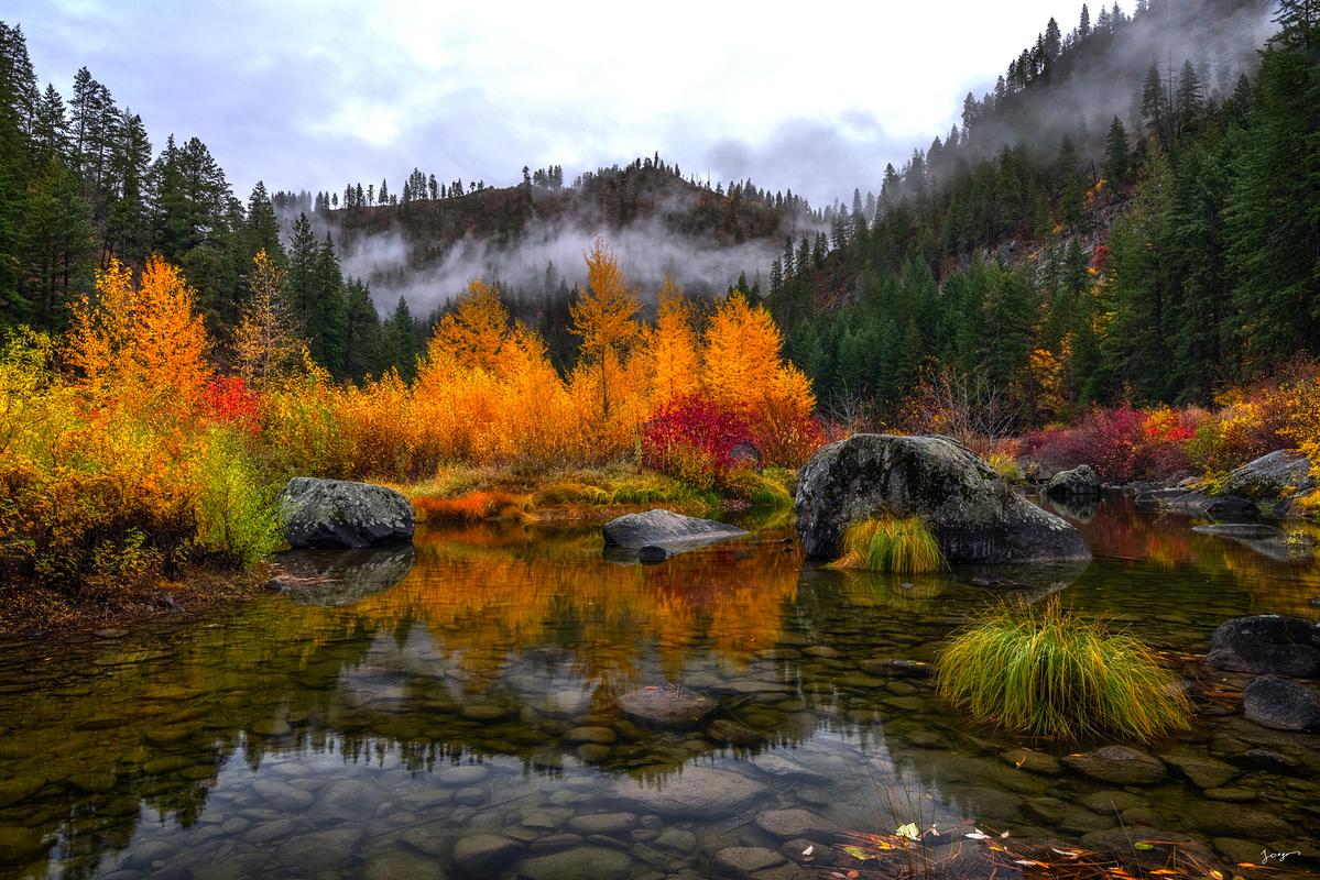 Fall photography of foliage by lake in the pacific northwest