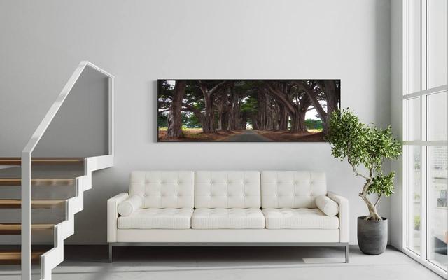 living room wall decor panorama print above couch
