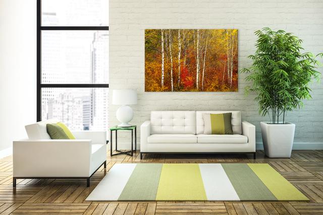 tree photography wall display aspen trees in the living room