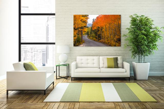 modern wall art display in the living room 