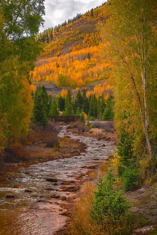 colorado fall photography creek yellow trees mountain