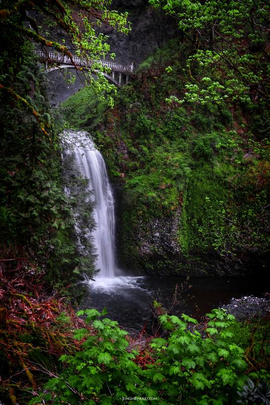 multnomah falls oregon lush wall art for sale by jongas