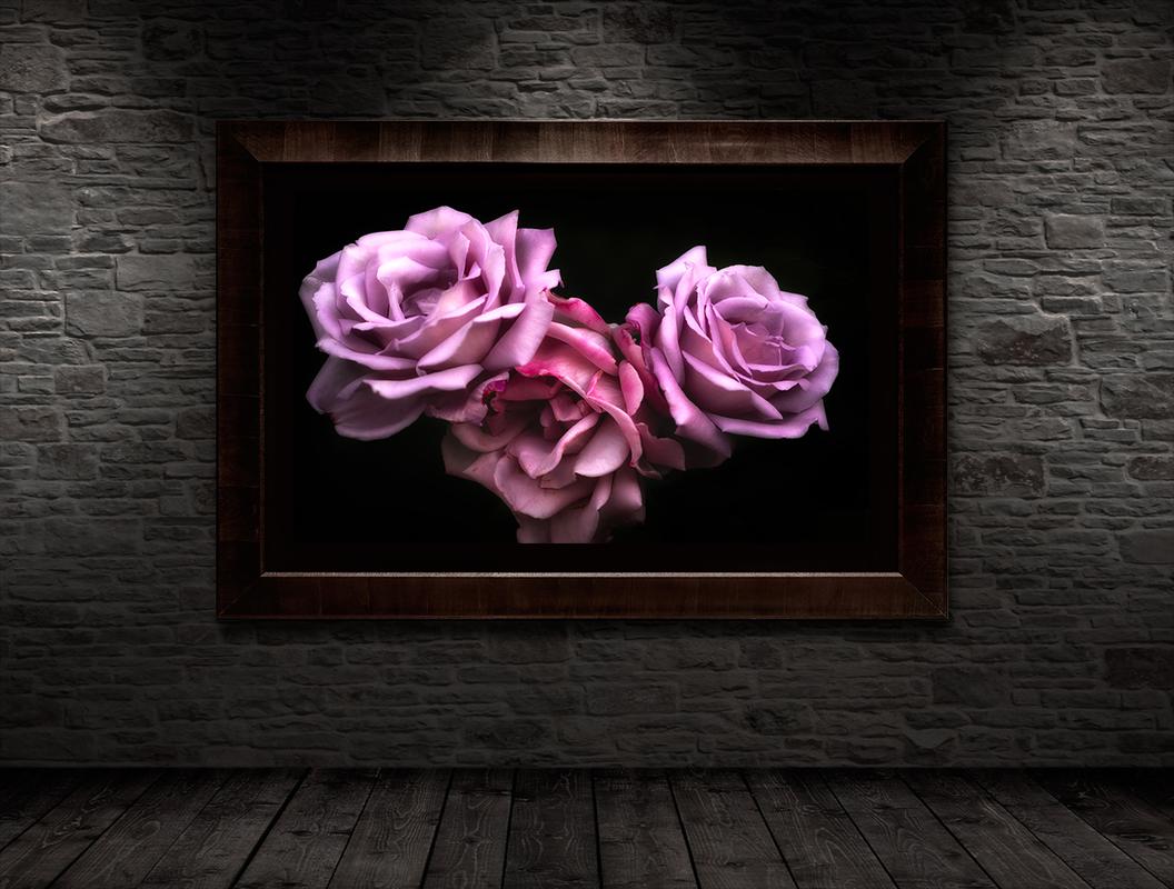 Framed Wall Art Display On A Brick Wall 3 Roses