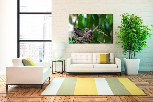 nature fine art for sale wall display for living room