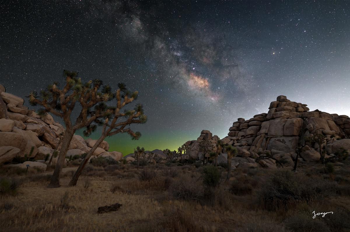 Milky way with joshua tree and boulders night photography by eddie jongas