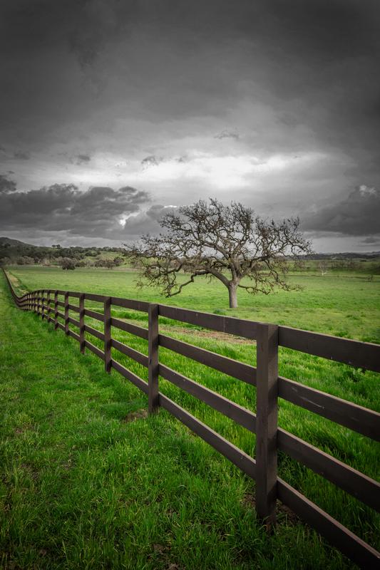 tree behind fence in a field with green grass and heavy clouds in the background