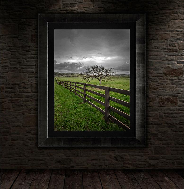 tree wall art for sale by jongas as wall display on a brick wall with dark frame