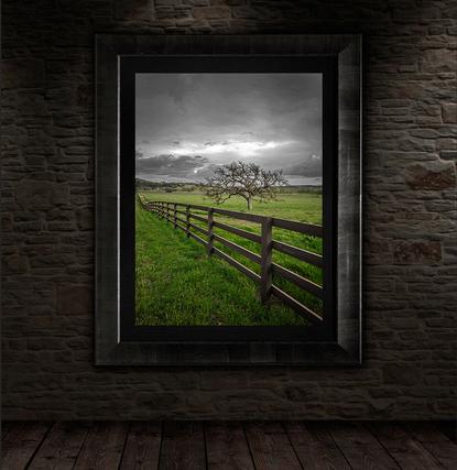 tree wall art for sale by jongas as wall display on a brick wall with dark frame