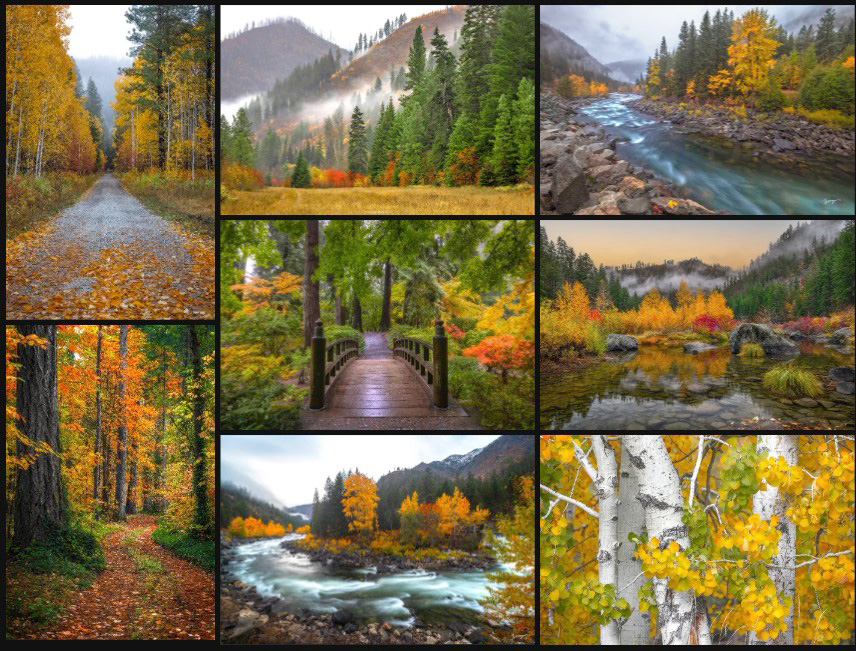 leavenworth-photography-workshop-with-Jongas