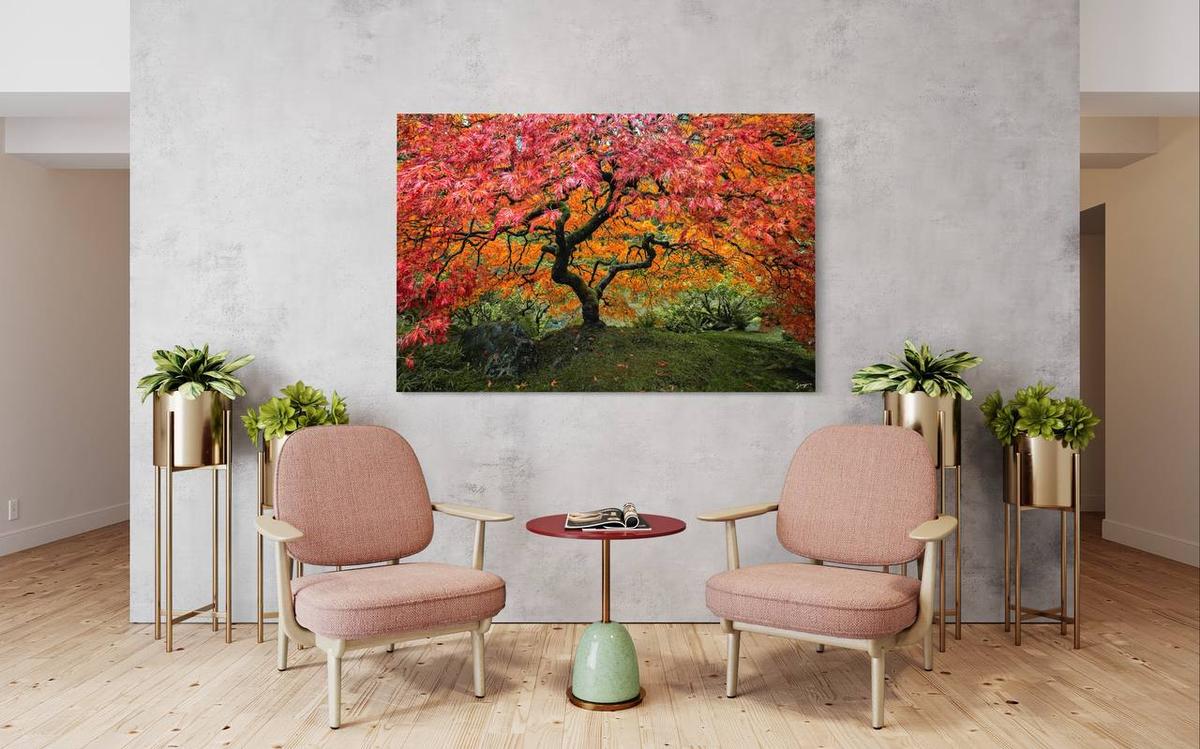japanese maple photo wall art display in the living room