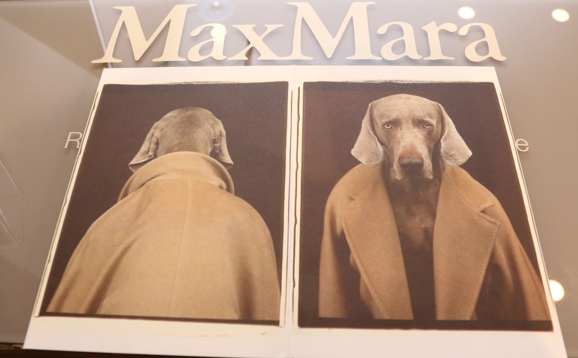 max mara conceptual photo