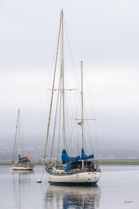 Old sail boat moored in morro bay single print by Eddie Jongas