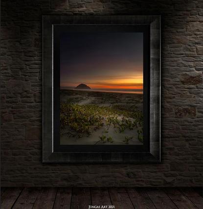 luxury art prints for sale by jongas wall display framed