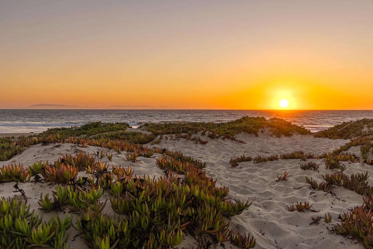 sunset photography wall art for living room ventura beach