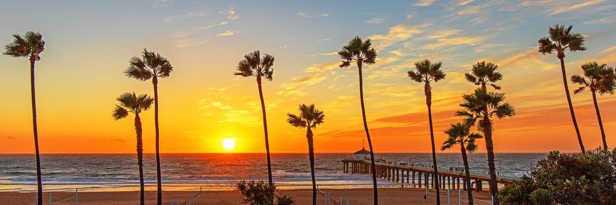 modern wall art peter lik inspired cali palms at sunset