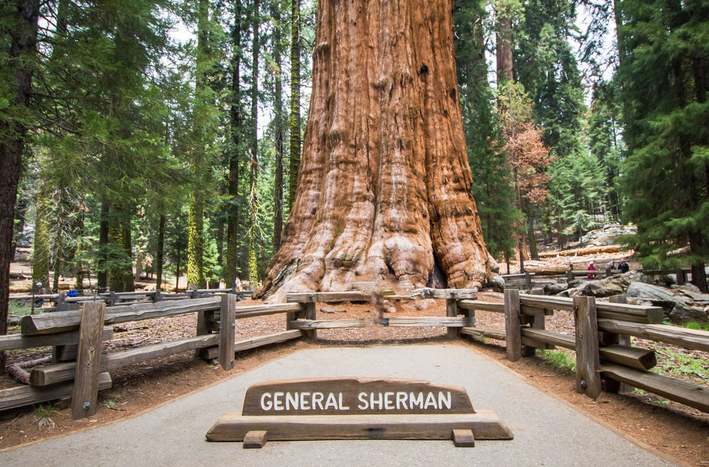 General Sherman