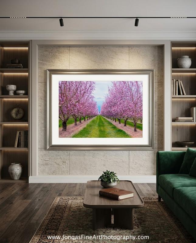 framed spring bloom art on wall in office by Eddie Jongas