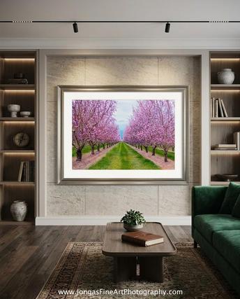 framed spring bloom art on wall in office by Eddie Jongas