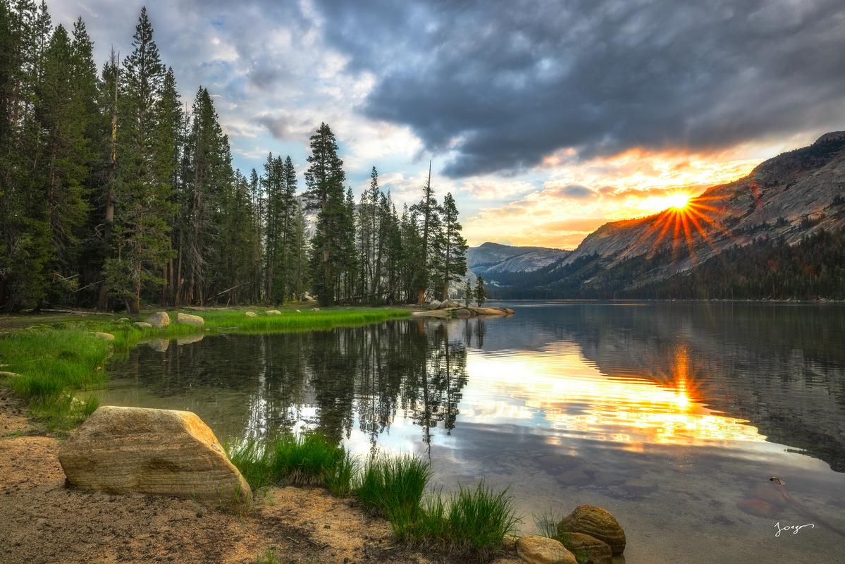 lake tenaya yosemite grassy beach pines trees sun rising