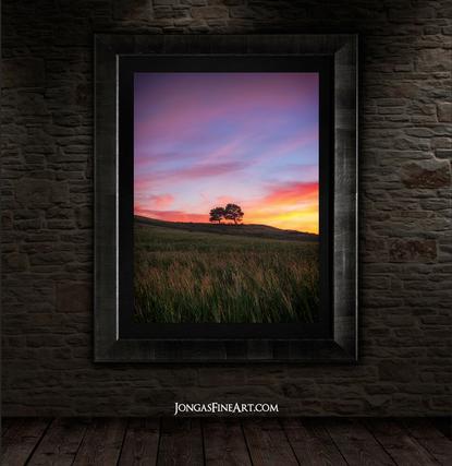 tree wall art for sale with roma frame by jongas fine art