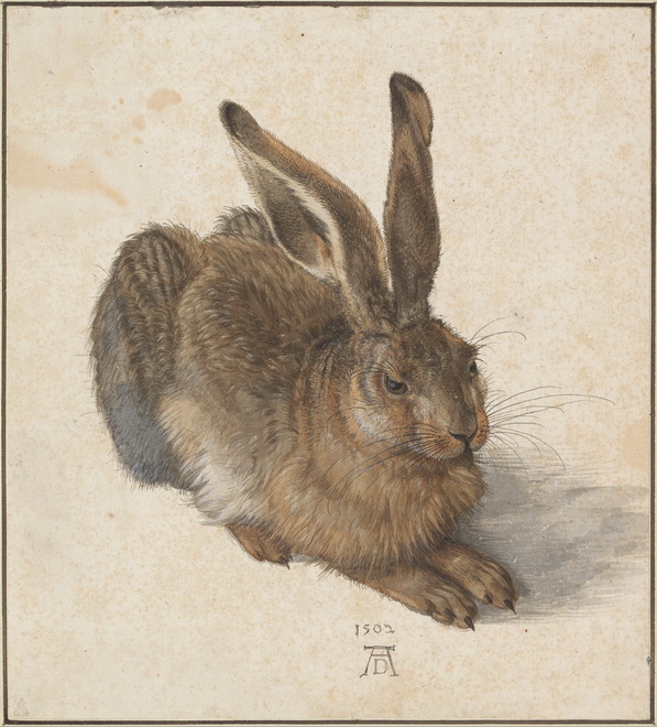 Young Hare by Albrecht Dürer, 1502 — Albertina, Vienna