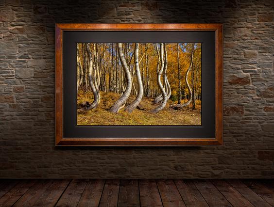 tree wall art by jongas wall display on brick wall brown roma frame