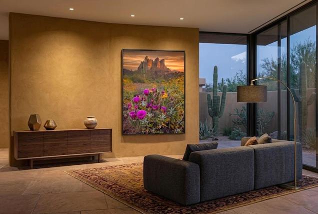 Wonder Bloom Fine art print displayed on wall framed by Eddie Jongas